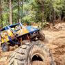 TT2023-247