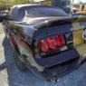 GPALBI2020-077