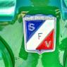 SFV-081