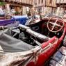 BUG-031