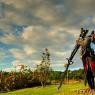 DonQuichotte