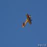 SONY DSC
