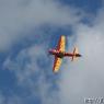 SONY DSC