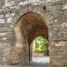 DSC08202-HDR