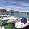 SETE-036